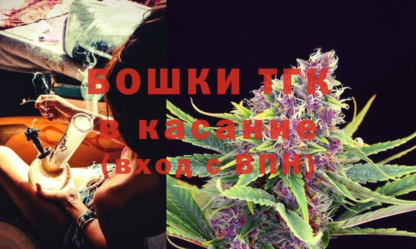 гидра Новодвинск