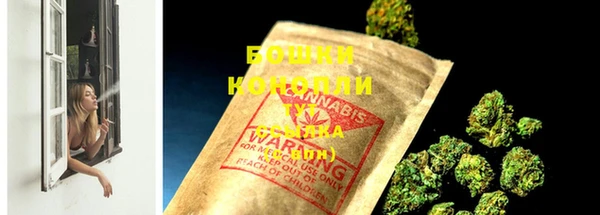 гидра Новодвинск