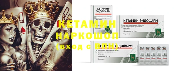 гидра Новодвинск