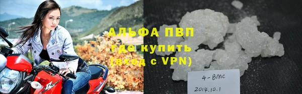гидра Новодвинск