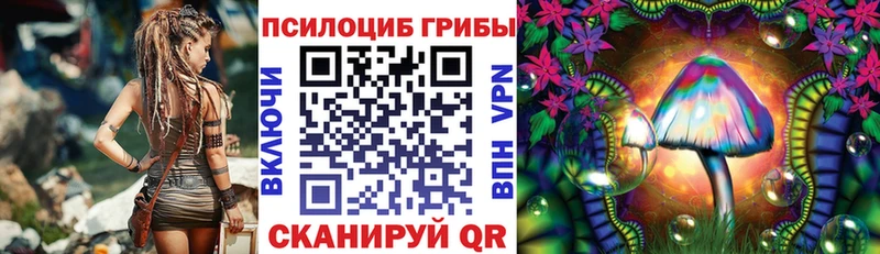 Псилоцибиновые грибы MAGIC MUSHROOMS  blacksprut ссылки  Нефтекумск  сколько стоит 