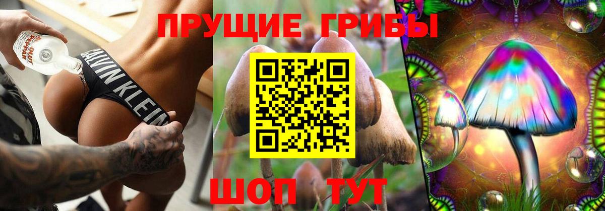 сколько стоит  Псилоцибиновые грибы Psilocybe  Вход с VPN  Нефтекумск 